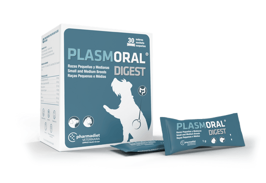 Plasmoral Digest Medium mažoms ir vidutinėms veislėms N30