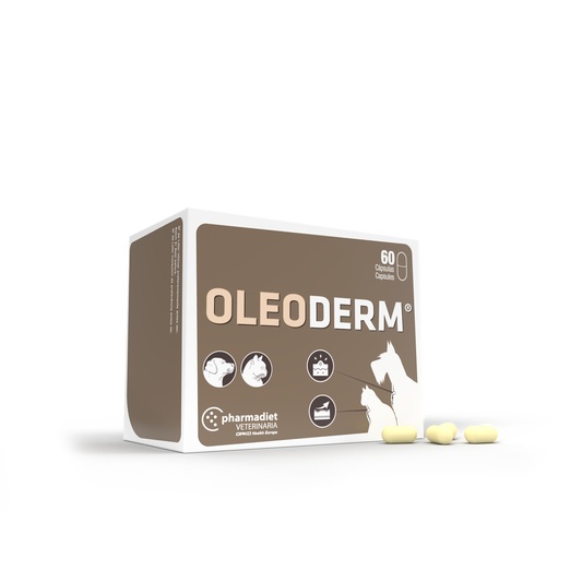 Oleoderm Pašaro papildai šunims ir katėms kailiui ir odai N60