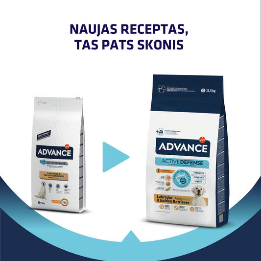 Advance Labrador & Golden Retriever Adult Sausas Pašaras Labradorų ir Auksaspalvių Retriverių veislės šunims 11.5 kg