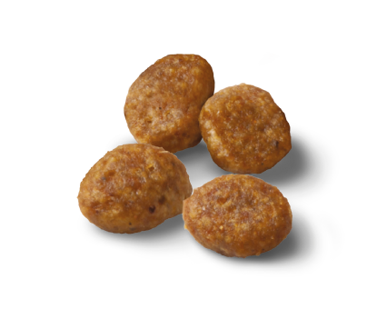 Advance Puppy Sensitive Salmon&Rice sausā barība kucēniem ar jutīgu gremošanas traktu ar lasi un rīsiem