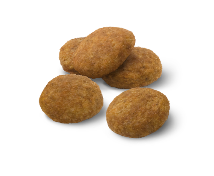 Advance Puppy Medium Sausas maistas vidutinių veislių šuniukams 3 kg