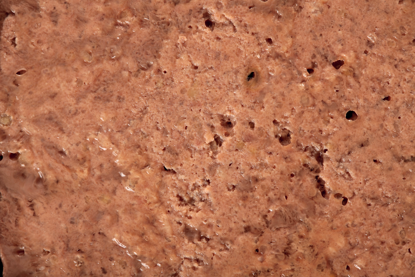 SPECIFIC FSW konservētā barība kaķiem, struvīta šķīdināšanai 7 x 100 g