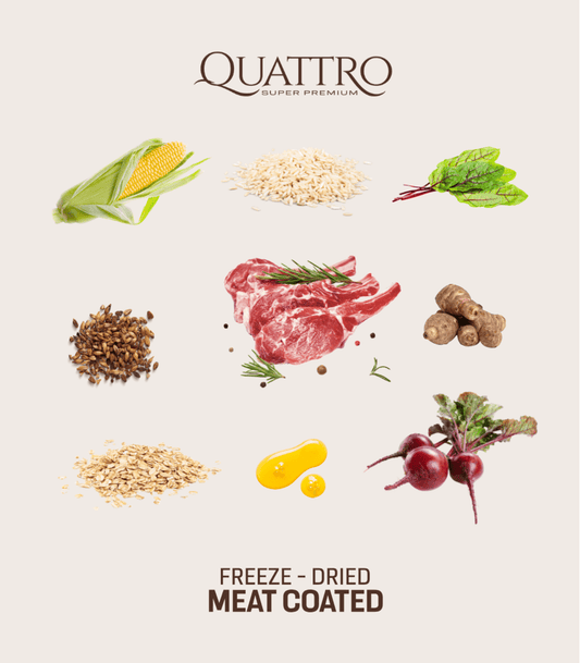 Quattro Extra Lamb Sausas pašaras šunims su ėriena