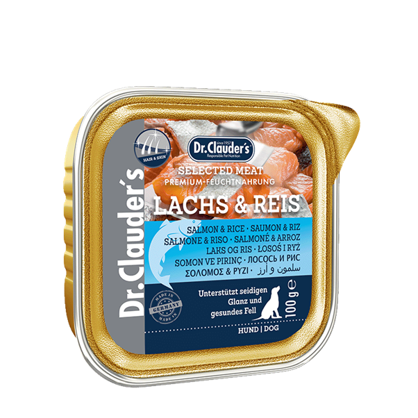 DR. CLAUDER'S drėgnas maistas suaugusiems šunims su lašiša ir ryžiais odai ir kailiui 100g