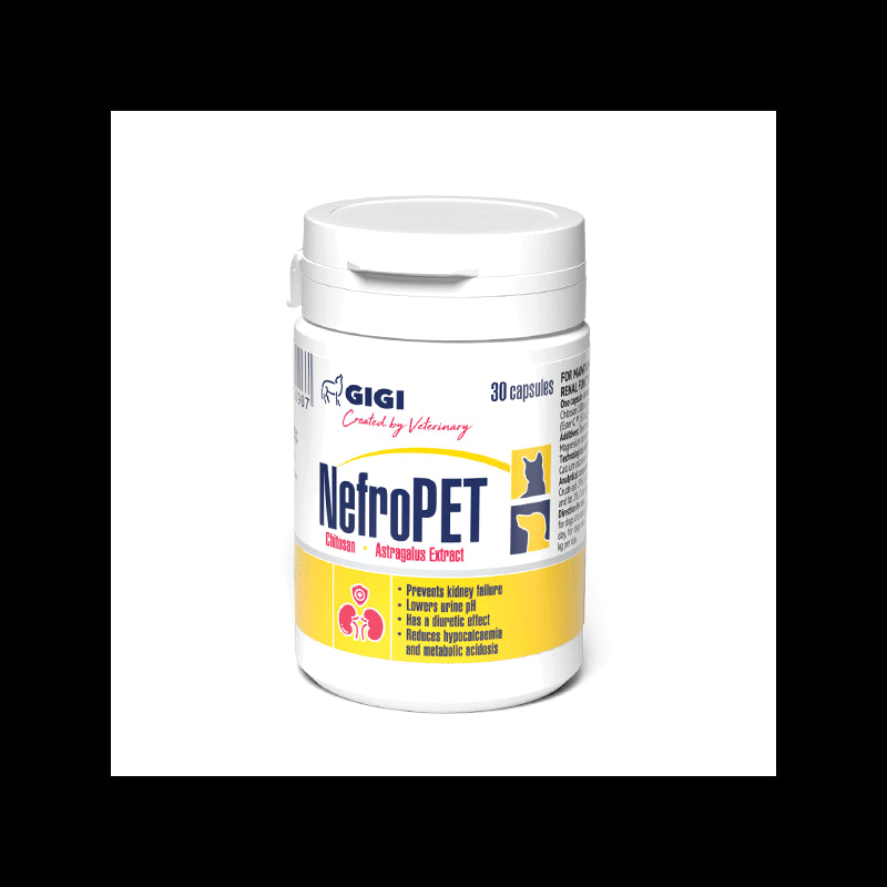 GIGI Nefro PET paplidas šunims ir katėms inkstų veiklai palaikyti 30 tab