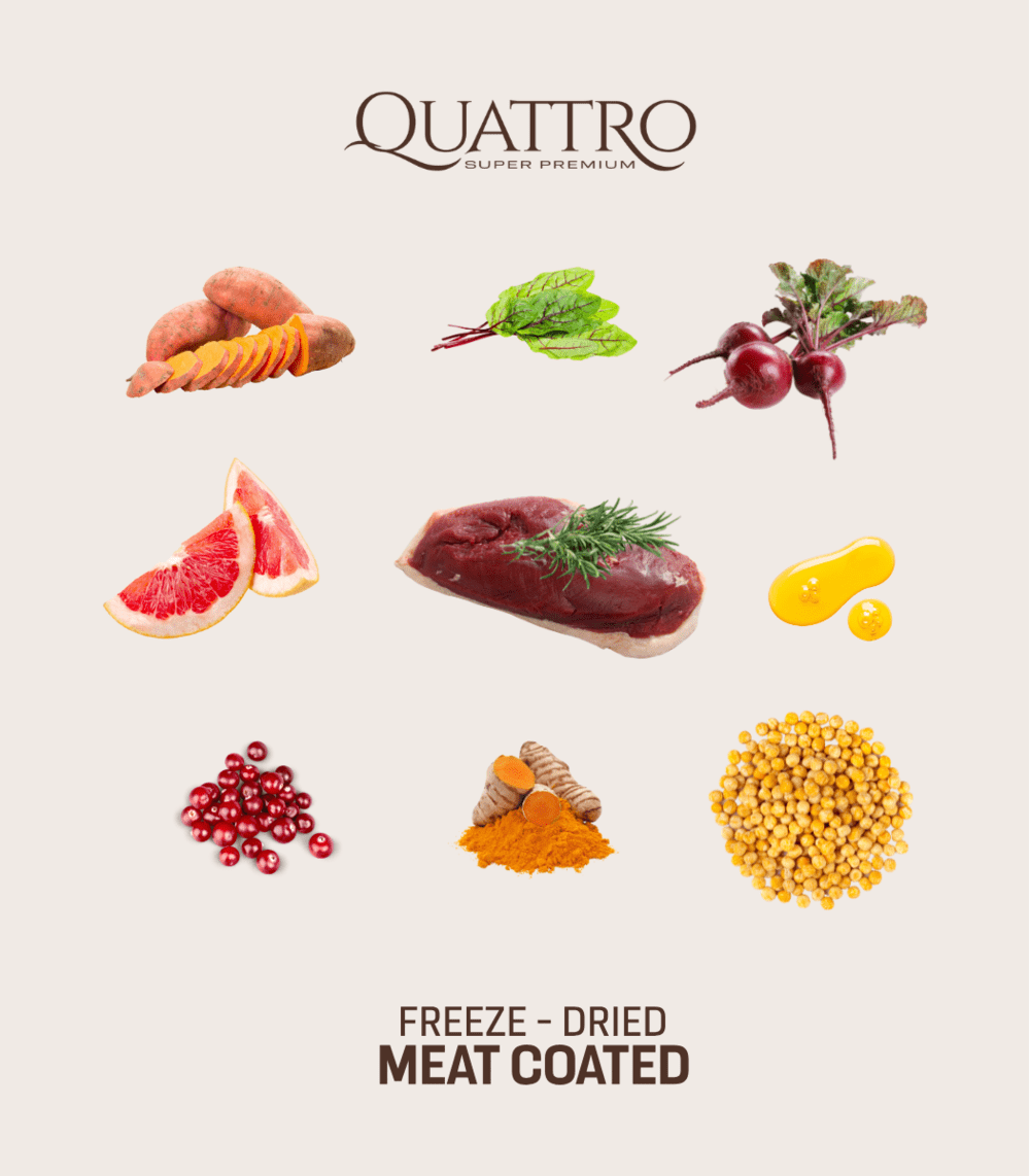 Quattro begrūdis visų veislių suaugusių šunų pašaras su ėrienos monoproteinu