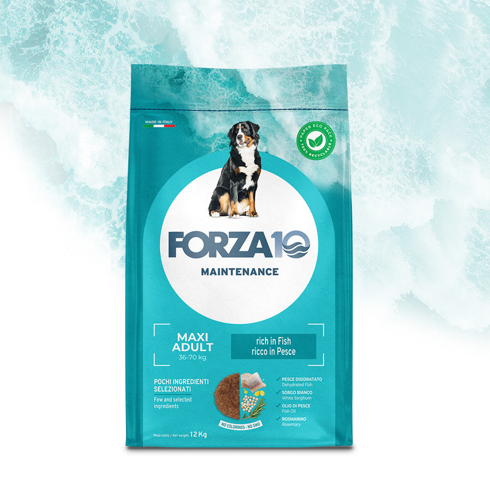 FORZA10 Maxi Adult Maintenance su žuvimi. 12 kg