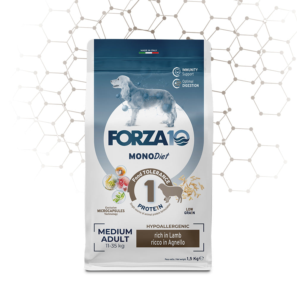 FORZA10 Medium Adult Diet su ėriena