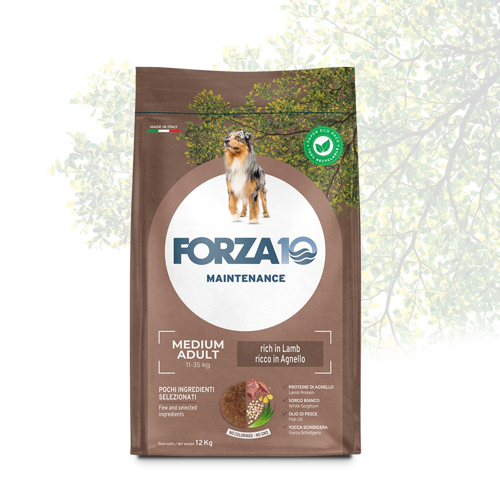 FORZA10 Medium Adult Maintenance su elniena ir bulvėmis 12 kg