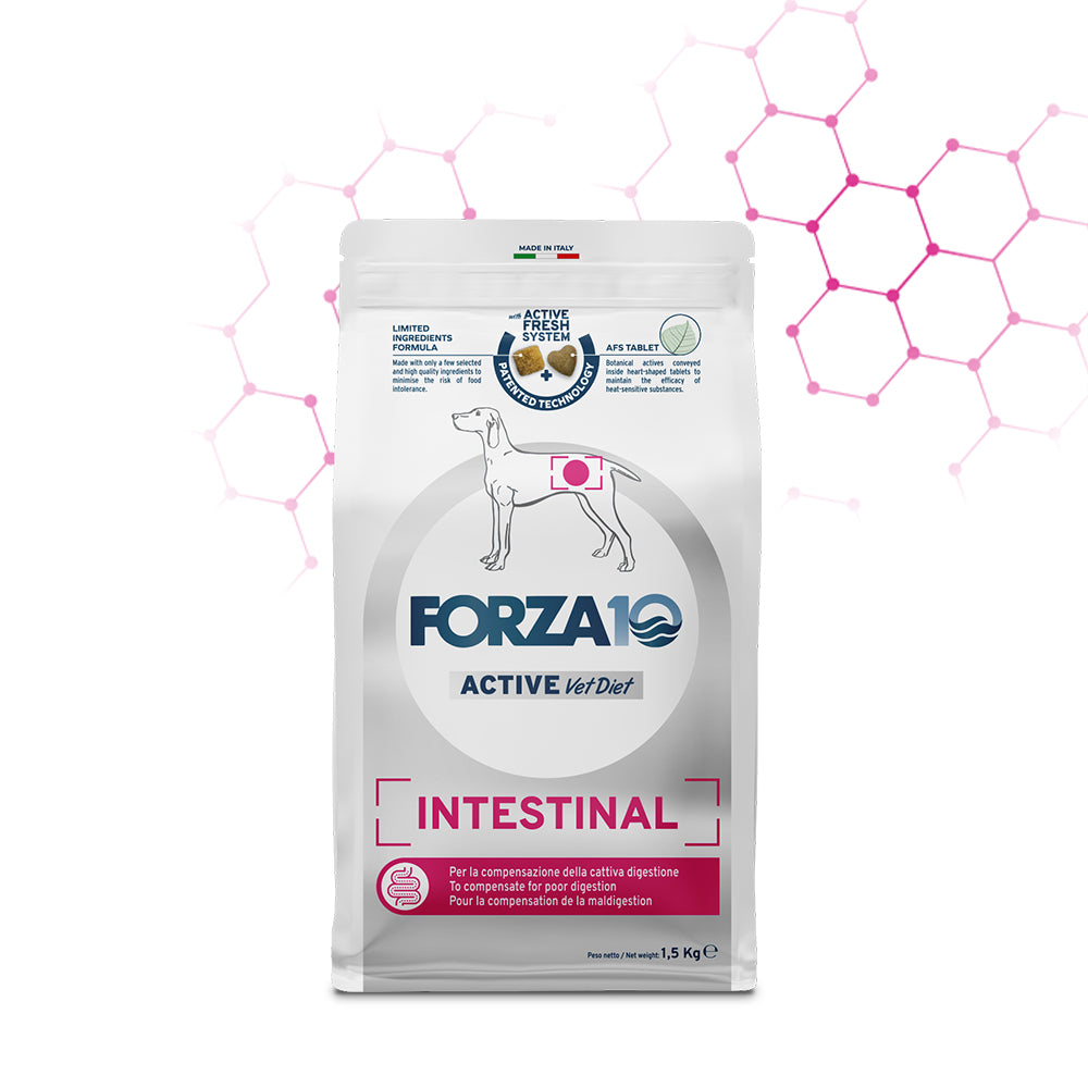 FORZA10 VetDiet Intestinal Adult