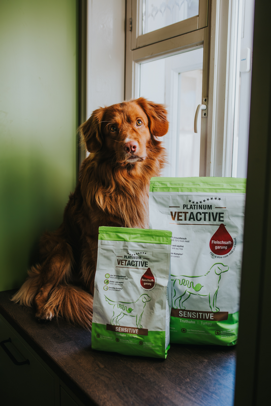 Platinum VetActive Sensitive barība suņiem ar jutīgu gremošanas traktu
