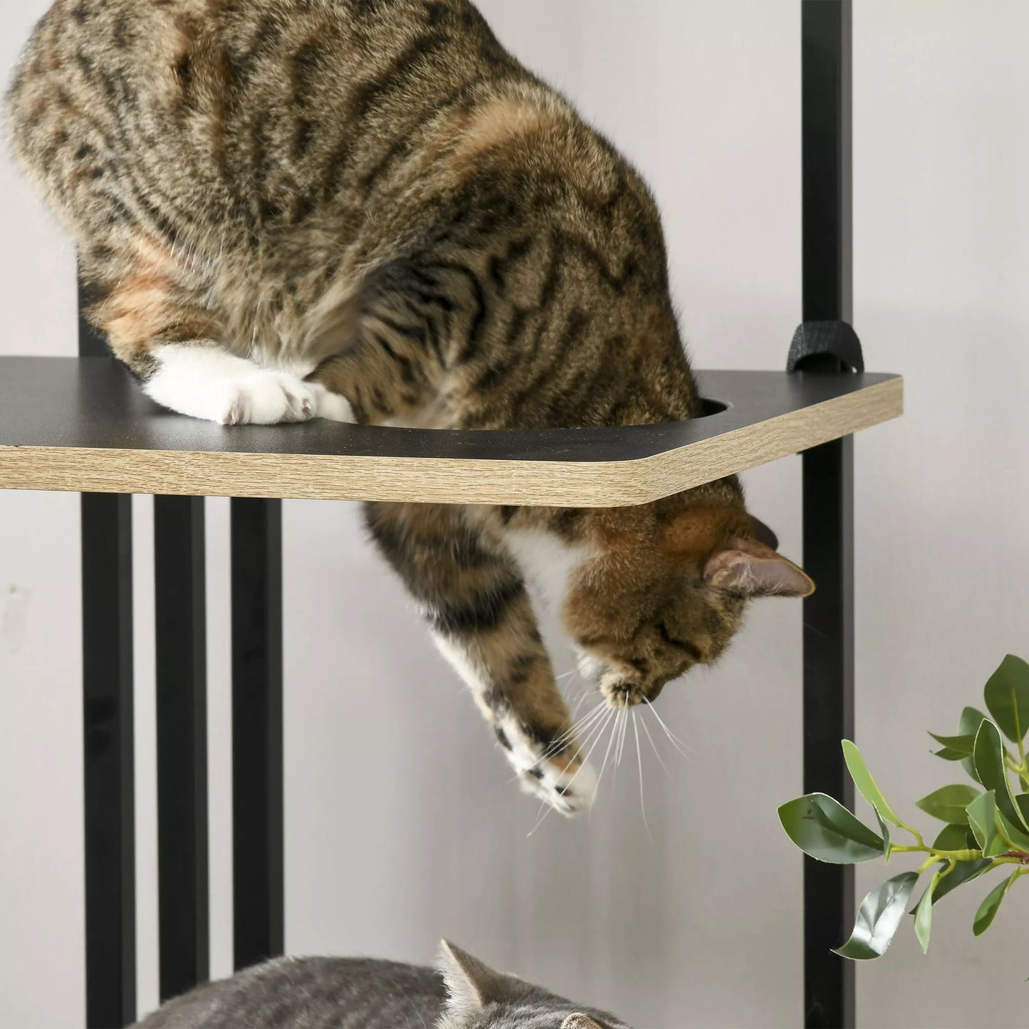 Kačių medelis, pramoninis dizainas, 3 platformos, 2 gulimosios pagalvėlės, grandymo siena, plieninis rėmas, juodos spalvos, 85 x 48 x 170 cm