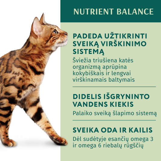 OPTIMEAL ™ konservuotas pašaras suaugusioms katėms su triušiena morkų drebučiuose 12x0.085 kg privalumai