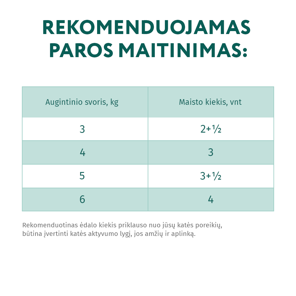 OPTIMEAL ™ konservuotas pašaras suaugusioms katėms su triušiena baltame padaže 12x0.085 kg rekomendacijos maitinimui