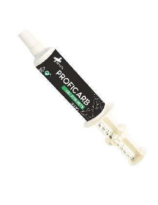 Ruvera Proficarb anglies pasta 100 g