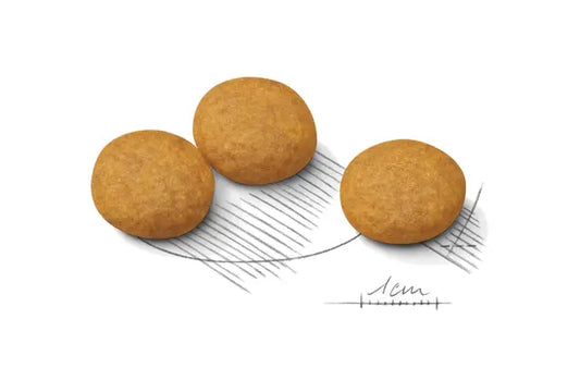 Royal Canin Dog Dermacomfort Medium visavertis pašaras šunims linkusiems į odos sudirginimą ir niežėjimą granulės