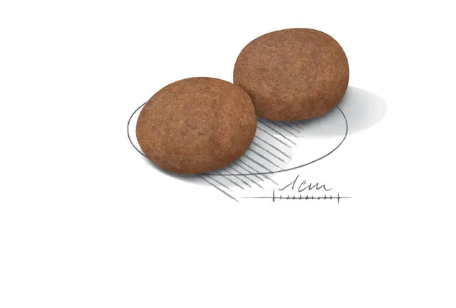 Royal Canin Dog Medium Adult +7 visavertis pašaras vidutinių veislių šunims nuo 7 metų išvaizda