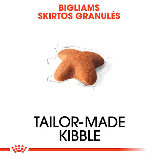 Royal Canin Bigliams granulės