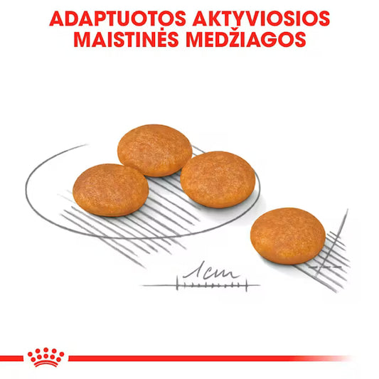 Royal Canin Dog Dermacomfort Mini visavertis pašaras mažų veislių šunims granulės