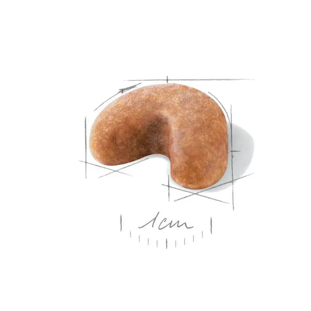 Royal Canin French Bulldog Puppy visavertis pašaras prancūzų buldogų šuniukams 3kg granulė