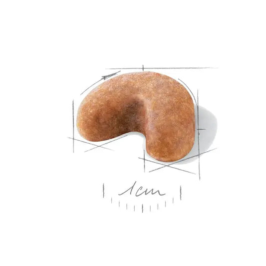 Royal Canin French Bulldog Puppy visavertis pašaras prancūzų buldogų šuniukams 3kg granulė