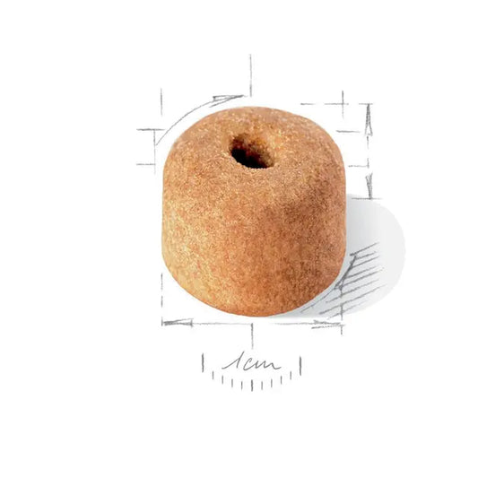 Royal Canin Labrador Retrievier Adult 5+ visavertis pašaras labradoro retriveriams ėdalo išvaizda