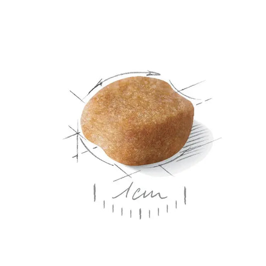 Royal Canin Yorkshire Terrier Adult visavertis pašaras Jorkšyro veislės šunims išvaizda