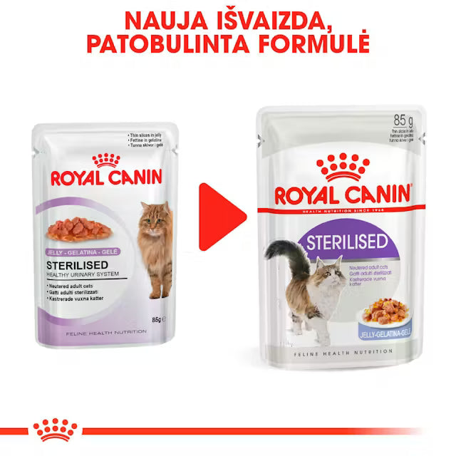 Sterilized drėgnas pašaras sterilizuotoms katėms Royal Canin (ploni griežinėliai drebučiuose) naujas įpakavimo dizainas