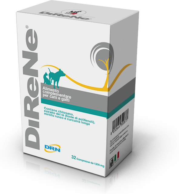 Direne N32