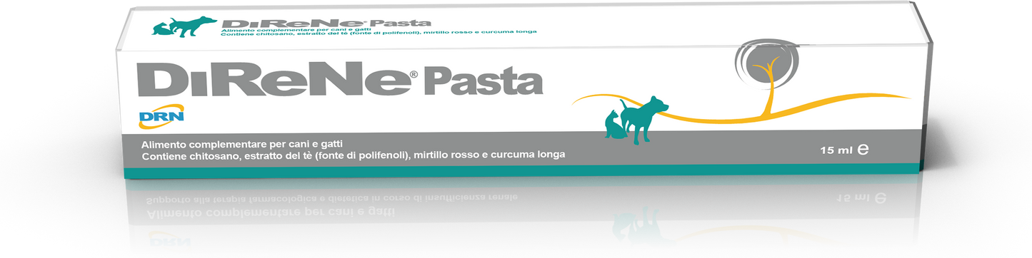 Direne pasta 15ml
