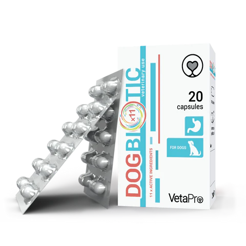 DogBiotic Papildai šunims virškinimo sistemai išsaugoti N20