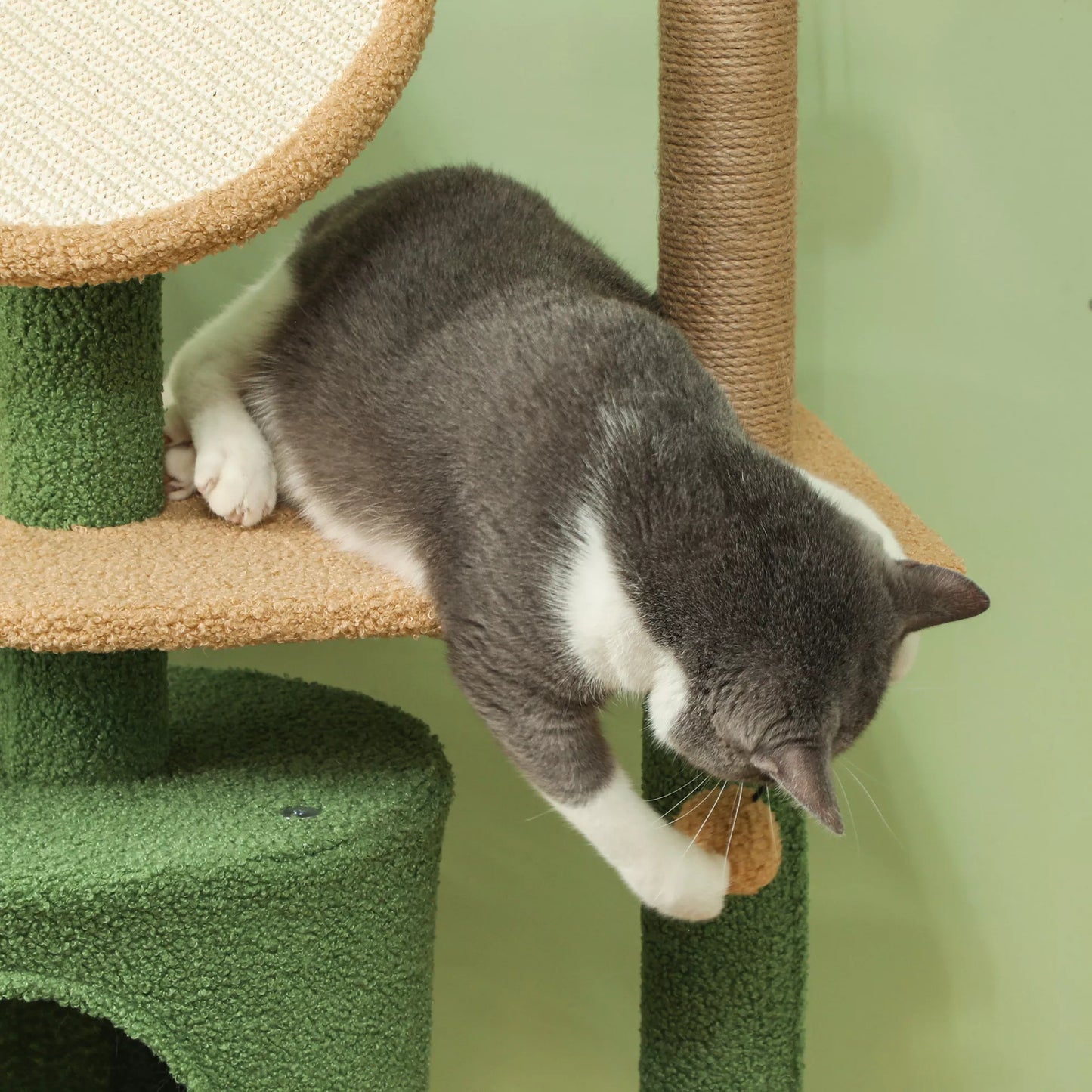 Aukšta kačių draskyklė-medis su nameliu ir platformomis, 139 cm (žalia)