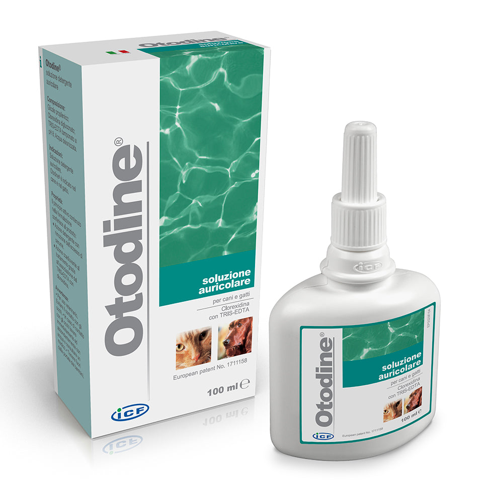 Otodine 100 ml
