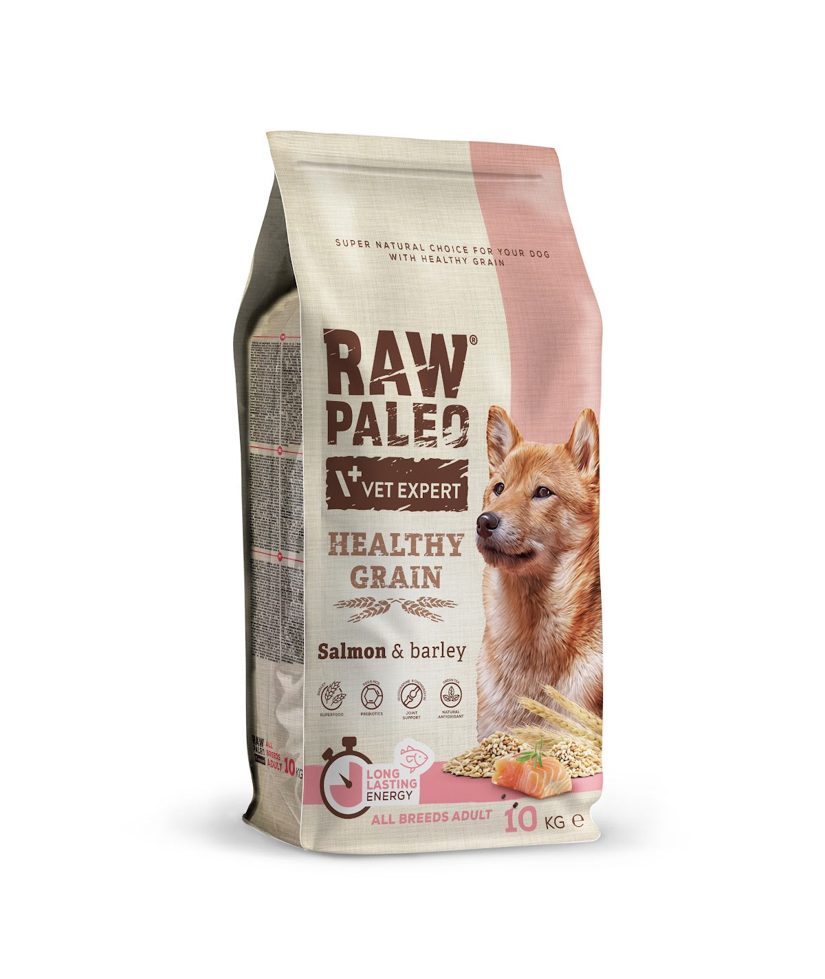 Raw Paleo Healthy Grain Salmon&Barley Puppy 10kg