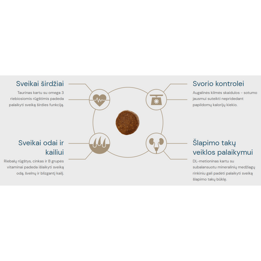 Quattro Extra Salmon Sterilised Sausas pašaras sterilizuotoms katėms su lašiša