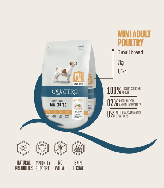 Quattro Mini Poultry Adult Sausas pašaras suaugusiems mažų veislių šunims su paukštiena