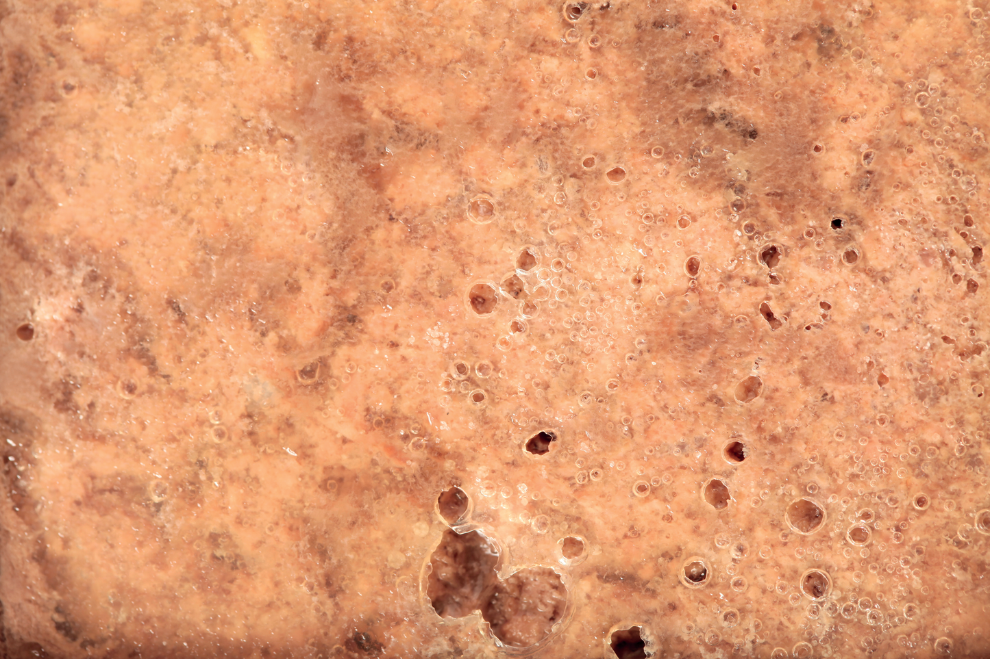 SPECIFIC FXW konservi veselīgiem, pieaugušiem kaķiem 7 x 100 g