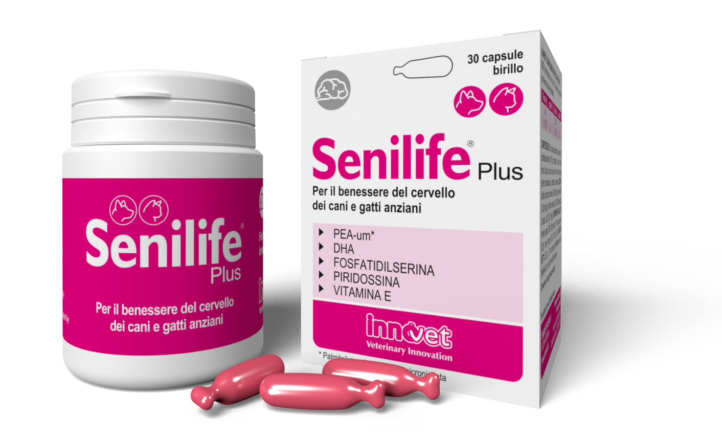 SENILIFE PLUS N30