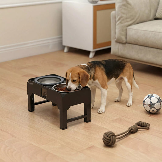 Padidintas šunų dubuo Reguliuojamo aukščio dubuo su vandens dubeniu 2 nerūdijančio plieno dubenys mažoms ir didelėms šunims Juodos spalvos