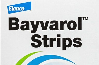 BAYVAROL avilio juostelės bitėms: patikimiausias ginklas prieš Varroa erkę