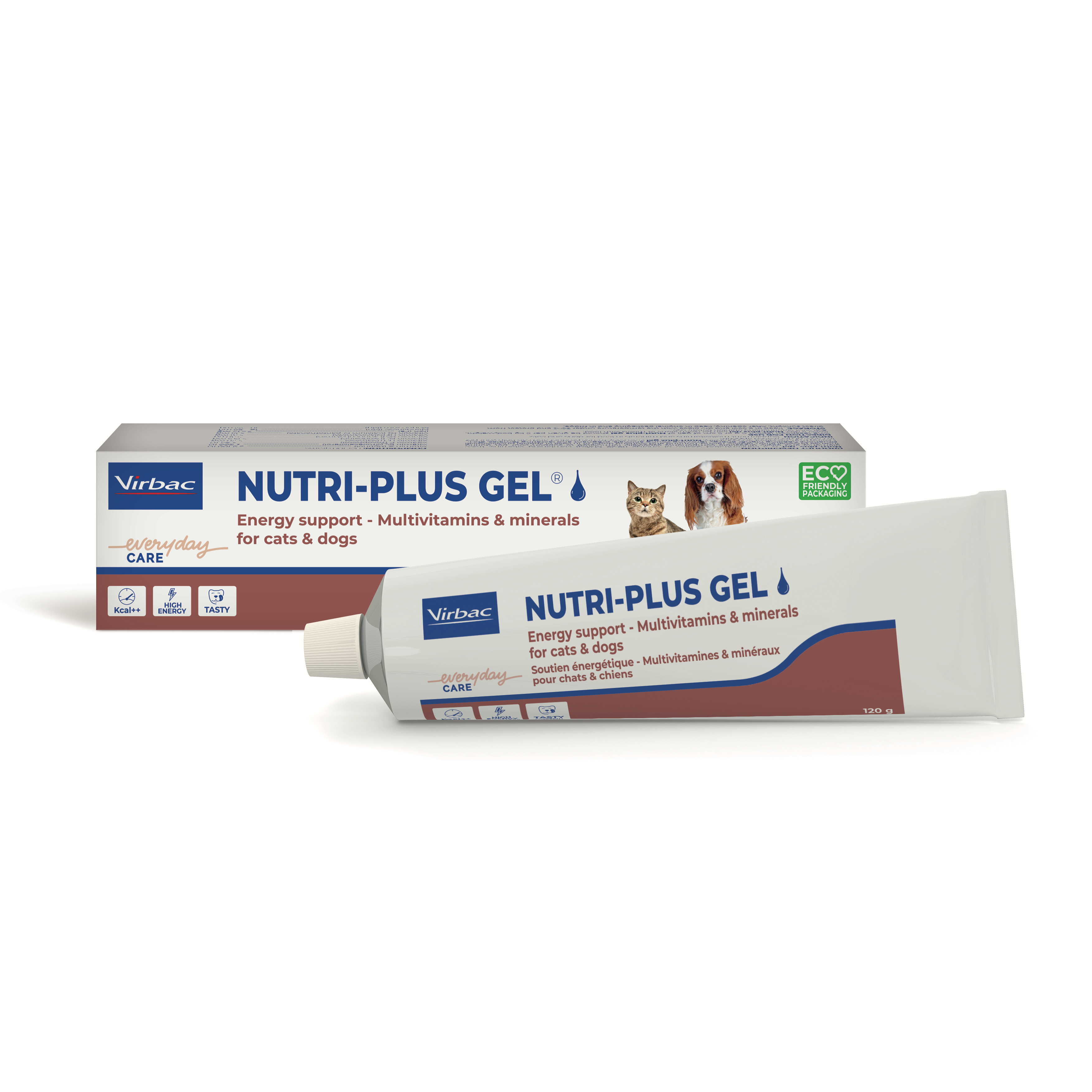 Vitaminai ir mineralai katėms