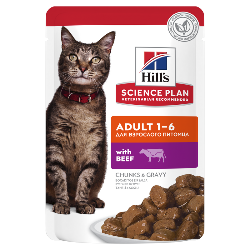 Hill's konservai katems