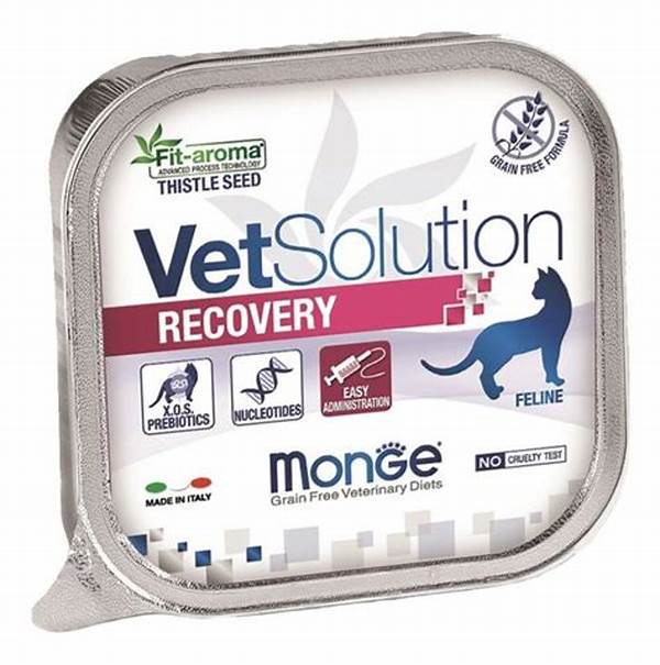 MONGE VetSolution Cat Wet Recovery 100 g