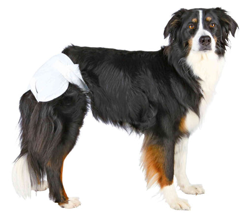 23636 TRIXIE Sauskelnės kalėms, XL 40-58 cm, 12 vnt.