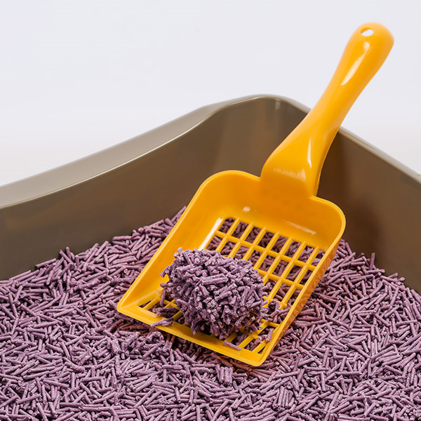 Expertus Tofu kraikas katėms, levandų kvapo, 6 l