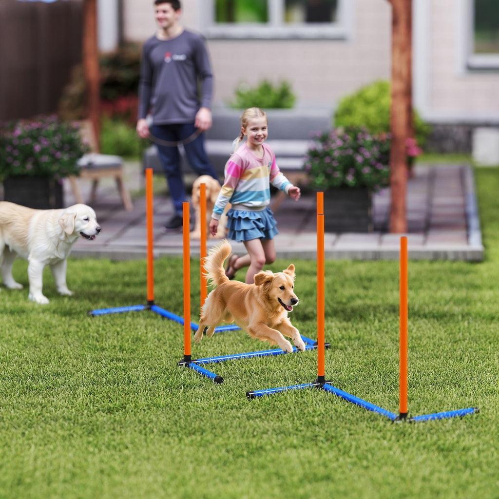 Agility slalomo stulpų rinkinys šunims, 3 dalių, su krepšiu, visų dydžių šunims, oranžinis