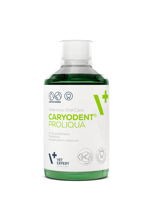 Caryodent burnos ertmės skystis į vandenį šunims ir katėms 250 ml