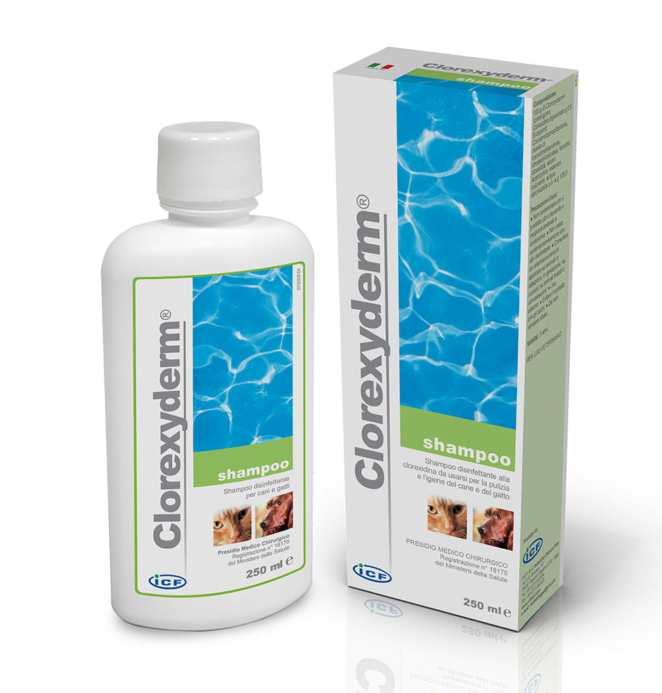 Clorexyderm Shampoo 4% Dezinfekuojantis šampūnas 250 ml