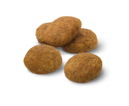 Advance Puppy Medium Sausas maistas vidutinių veislių šuniukams 12 kg