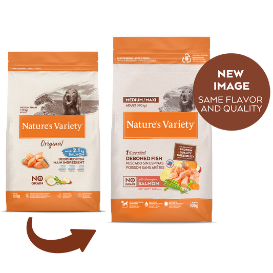 No Grain Med/Max Adult  10KG